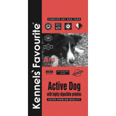 Active Dog - vidutinio dydžio judriems šunims